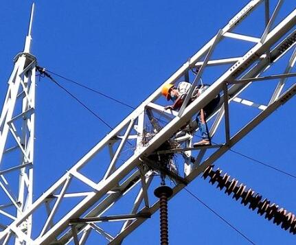 山東石橫熱電公司積極開(kāi)展鳥害集中排查治理工作