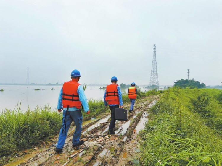 廣東佛山供電局受弱龍卷風影響的客戶已全部恢復(fù)正常供電