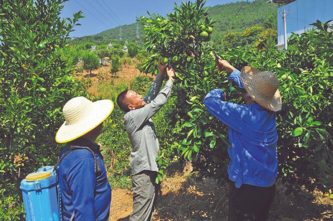 王國洲：把村事當家事，把村民當親人