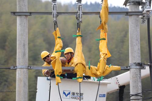 國網(wǎng)壽寧縣供電公司帶電更換避雷器 保障電網(wǎng)安全運行