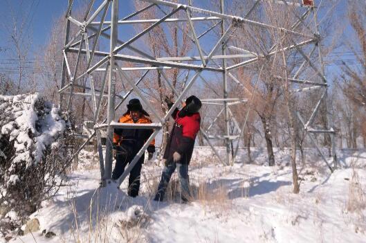 國網阜康市供電公司雪后清理樹障暢通電力通道